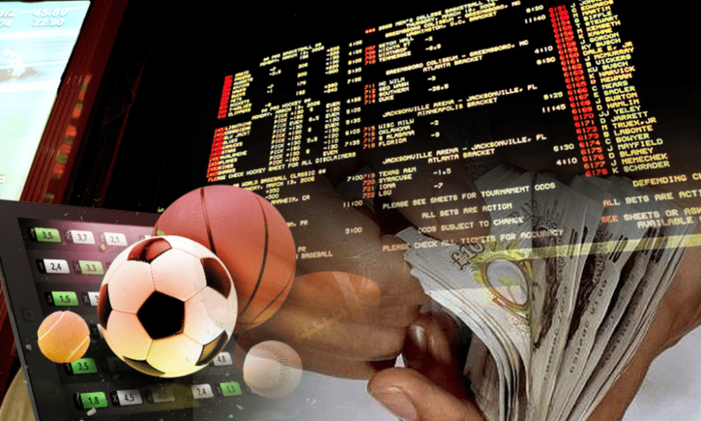 SFlyy Sports  Online Learning For Sports Betting & Casino Games